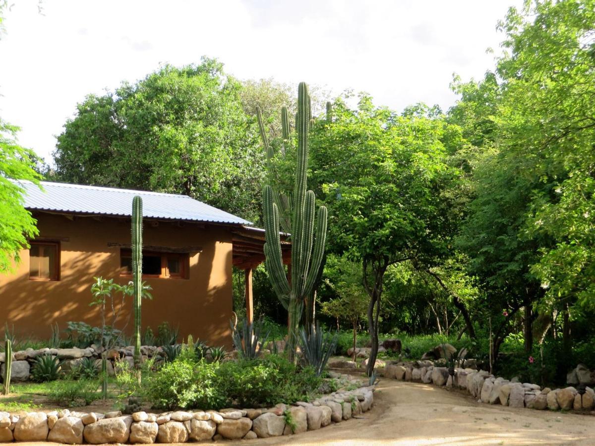 El Pedregal - Hotel En La Naturaleza Alamos Bagian luar foto